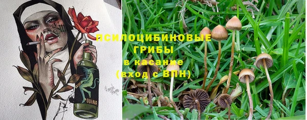 ALPHA PVP Алексин