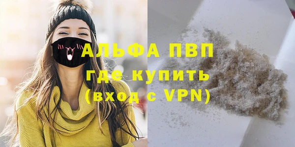 сатива Каменногорск