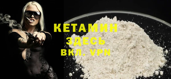 гидра Ельня